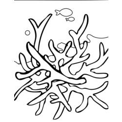 Coloring page: Coral (Nature) #162890 - Free Printable Coloring Pages