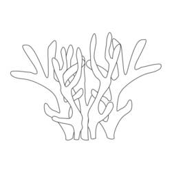 Coloring page: Coral (Nature) #162893 - Free Printable Coloring Pages