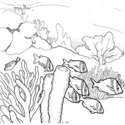 Coloring page: Coral (Nature) #162958 - Free Printable Coloring Pages