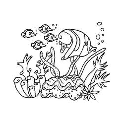 Coloring page: Coral (Nature) #162991 - Free Printable Coloring Pages