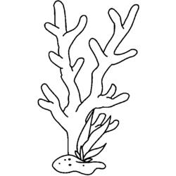 Coloring pages: Coral - Free Printable Coloring Pages