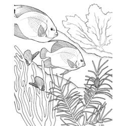 Coloring page: Coral (Nature) #163040 - Free Printable Coloring Pages