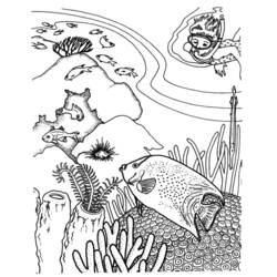 Coloring page: Coral (Nature) #163137 - Free Printable Coloring Pages
