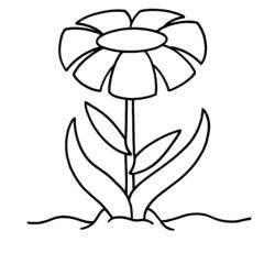 Coloring page: Daisy (Nature) #161596 - Free Printable Coloring Pages
