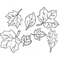 Coloring page: Fall season (Nature) #164059 - Free Printable Coloring Pages