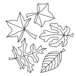 Coloring page: Fall season (Nature) #164152 - Free Printable Coloring Pages