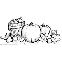 Coloring page: Fall season (Nature) #164228 - Free Printable Coloring Pages