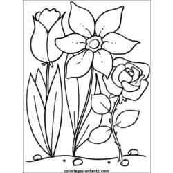 Coloring page: Flowers (Nature) #154975 - Free Printable Coloring Pages