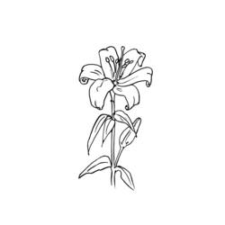 Coloring page: Flowers (Nature) #155259 - Free Printable Coloring Pages