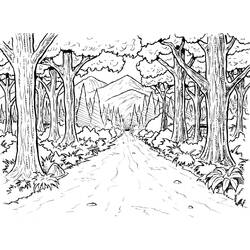 Coloring page: Forest (Nature) #157003 - Free Printable Coloring Pages