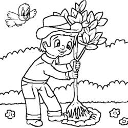 Coloring page: Garden (Nature) #166490 - Free Printable Coloring Pages