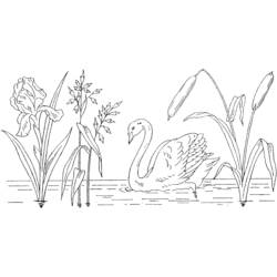 Coloring page: Lake (Nature) #166100 - Free Printable Coloring Pages