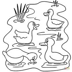 Coloring page: Lake (Nature) #166109 - Free Printable Coloring Pages