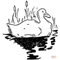 Coloring page: Lake (Nature) #166126 - Free Printable Coloring Pages