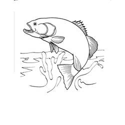 Coloring page: Lake (Nature) #166154 - Free Printable Coloring Pages