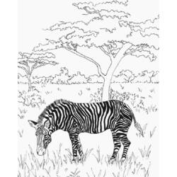 Coloring page: Landscape (Nature) #165837 - Free Printable Coloring Pages