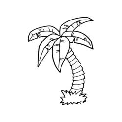 Coloring page: Palm tree (Nature) #161120 - Free Printable Coloring Pages