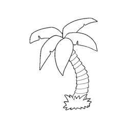 Coloring page: Palm tree (Nature) #161130 - Free Printable Coloring Pages