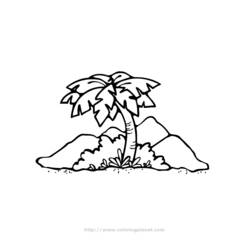 Coloring page: Palm tree (Nature) #161169 - Free Printable Coloring Pages