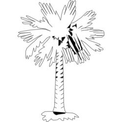 Coloring page: Palm tree (Nature) #161228 - Free Printable Coloring Pages