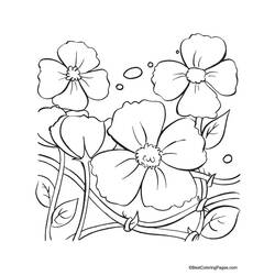 Coloring page: Poppy (Nature) #162431 - Free Printable Coloring Pages