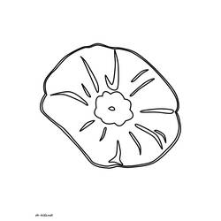 Coloring page: Poppy (Nature) #162452 - Free Printable Coloring Pages