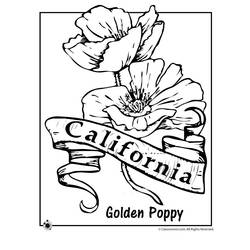 Coloring page: Poppy (Nature) #162486 - Free Printable Coloring Pages