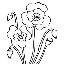 Coloring page: Poppy (Nature) #162489 - Free Printable Coloring Pages