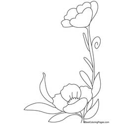 Coloring page: Poppy (Nature) #162497 - Free Printable Coloring Pages