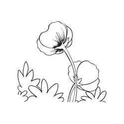 Coloring page: Poppy (Nature) #162539 - Free Printable Coloring Pages