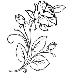 Coloring page: Roses (Nature) #161874 - Free Printable Coloring Pages