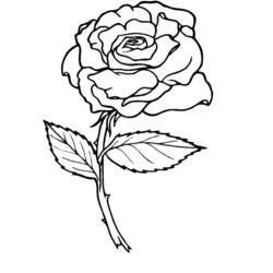Coloring page: Roses (Nature) #161884 - Free Printable Coloring Pages