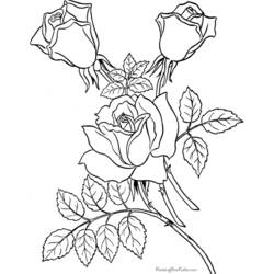 Coloring page: Roses (Nature) #161984 - Free Printable Coloring Pages