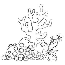 Coloring page: Seabed (Nature) #160105 - Free Printable Coloring Pages