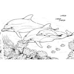 Coloring page: Seabed (Nature) #160116 - Free Printable Coloring Pages