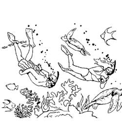 Coloring page: Seabed (Nature) #160125 - Free Printable Coloring Pages