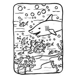 Coloring page: Seabed (Nature) #160161 - Free Printable Coloring Pages
