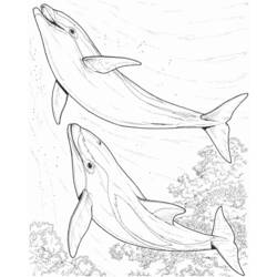 Coloring page: Seabed (Nature) #160206 - Free Printable Coloring Pages
