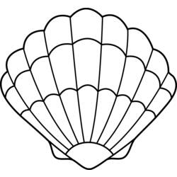 Coloring page: Shell (Nature) #163145 - Free Printable Coloring Pages