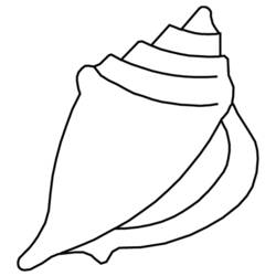 Coloring page: Shell (Nature) #163151 - Free Printable Coloring Pages