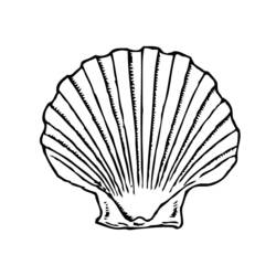 Coloring page: Shell (Nature) #163157 - Free Printable Coloring Pages