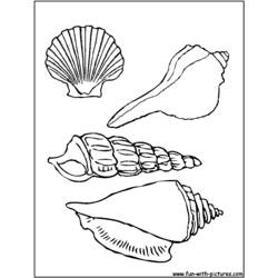 Coloring page: Shell (Nature) #163174 - Free Printable Coloring Pages