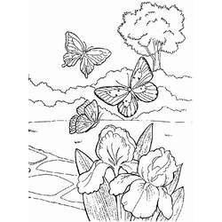 Coloring page: Spring season (Nature) #164753 - Free Printable Coloring Pages