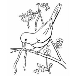 Coloring page: Spring season (Nature) #164837 - Free Printable Coloring Pages