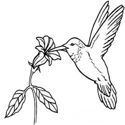 Coloring page: Spring season (Nature) #164974 - Free Printable Coloring Pages