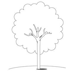 Coloring page: Tree (Nature) #154670 - Free Printable Coloring Pages