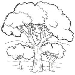 Coloring page: Tree (Nature) #154733 - Free Printable Coloring Pages
