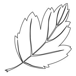 Coloring page: Tree (Nature) #154773 - Free Printable Coloring Pages