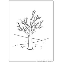 Coloring page: Tree (Nature) #154777 - Free Printable Coloring Pages