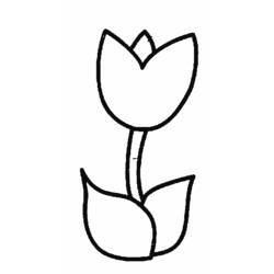 Coloring page: Tulip (Nature) #161618 - Free Printable Coloring Pages
